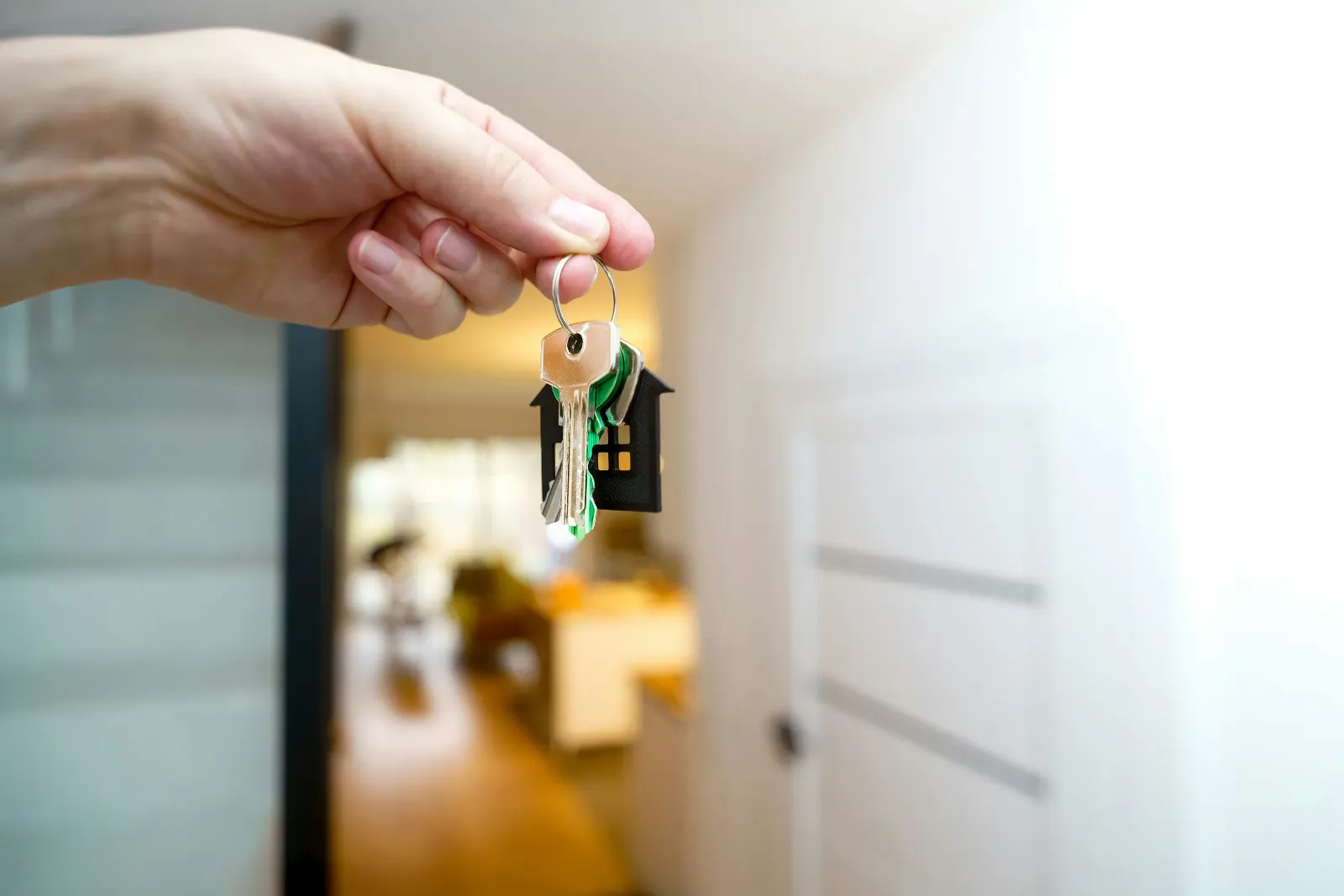 What Are Property Searches and Why Do You Need Them?