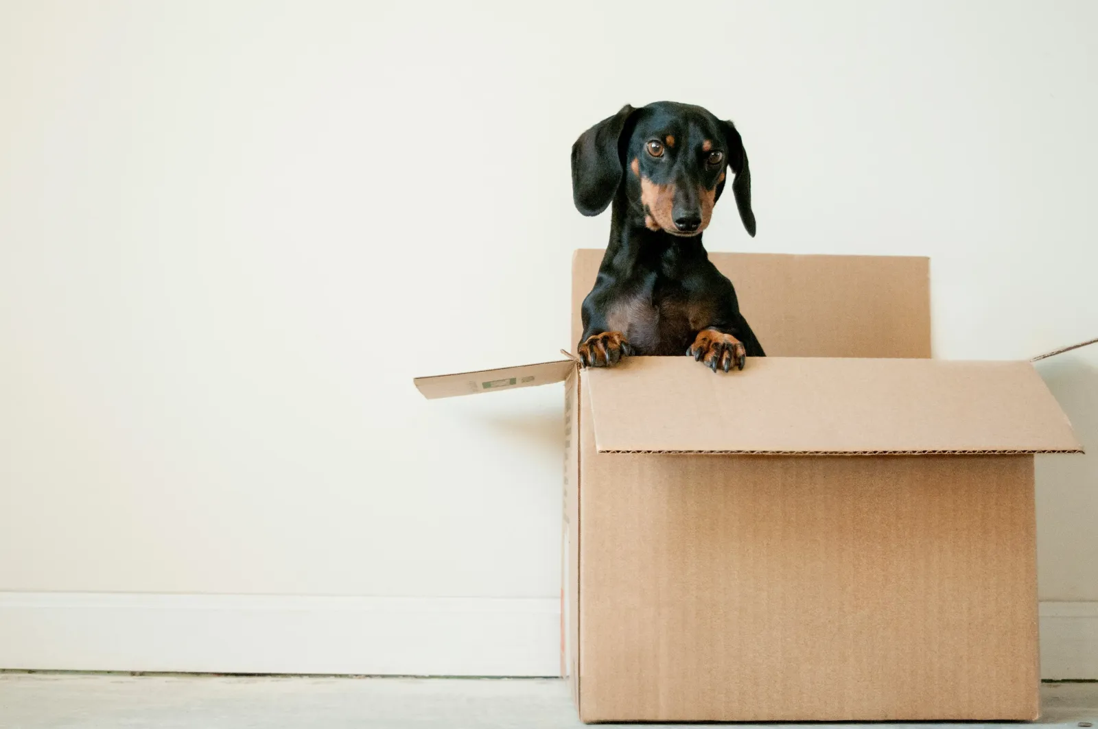 Moving House Checklist — Everything You Need to Do