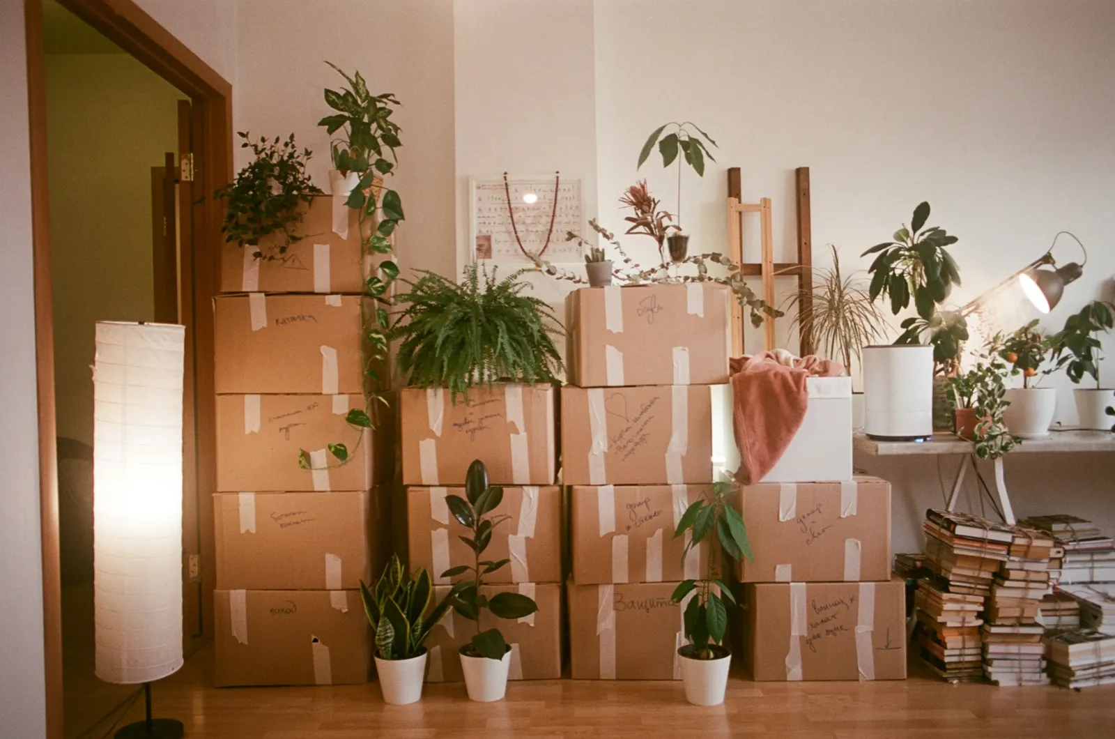 How to Pack Your House for Moving — Tips From the Pros